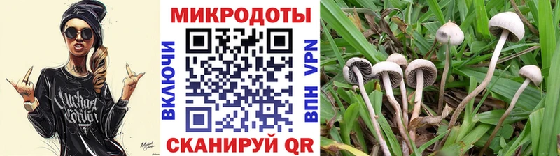 Псилоцибиновые грибы ЛСД  ОМГ ОМГ ссылки  Туринск 